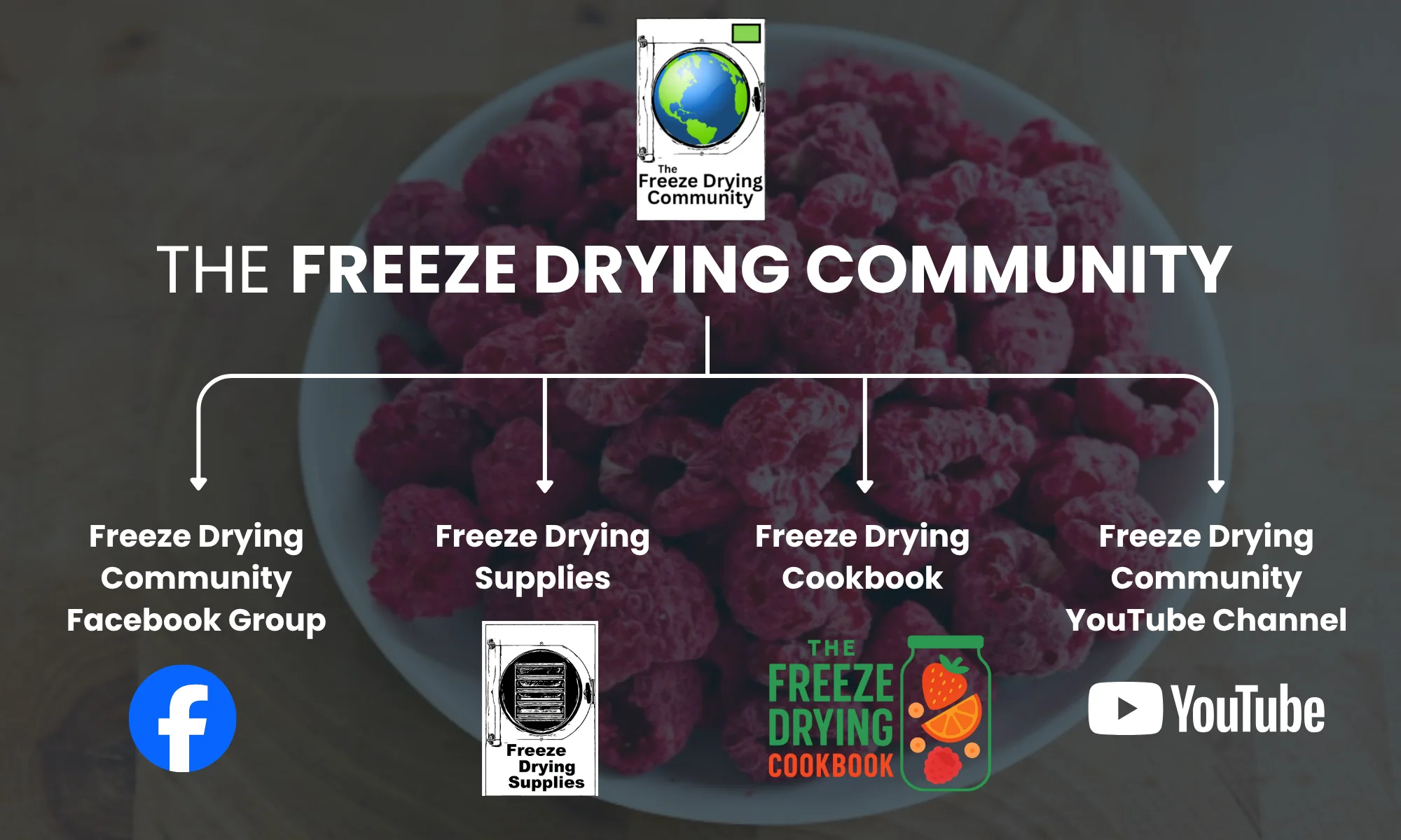 Welcome to Our Store